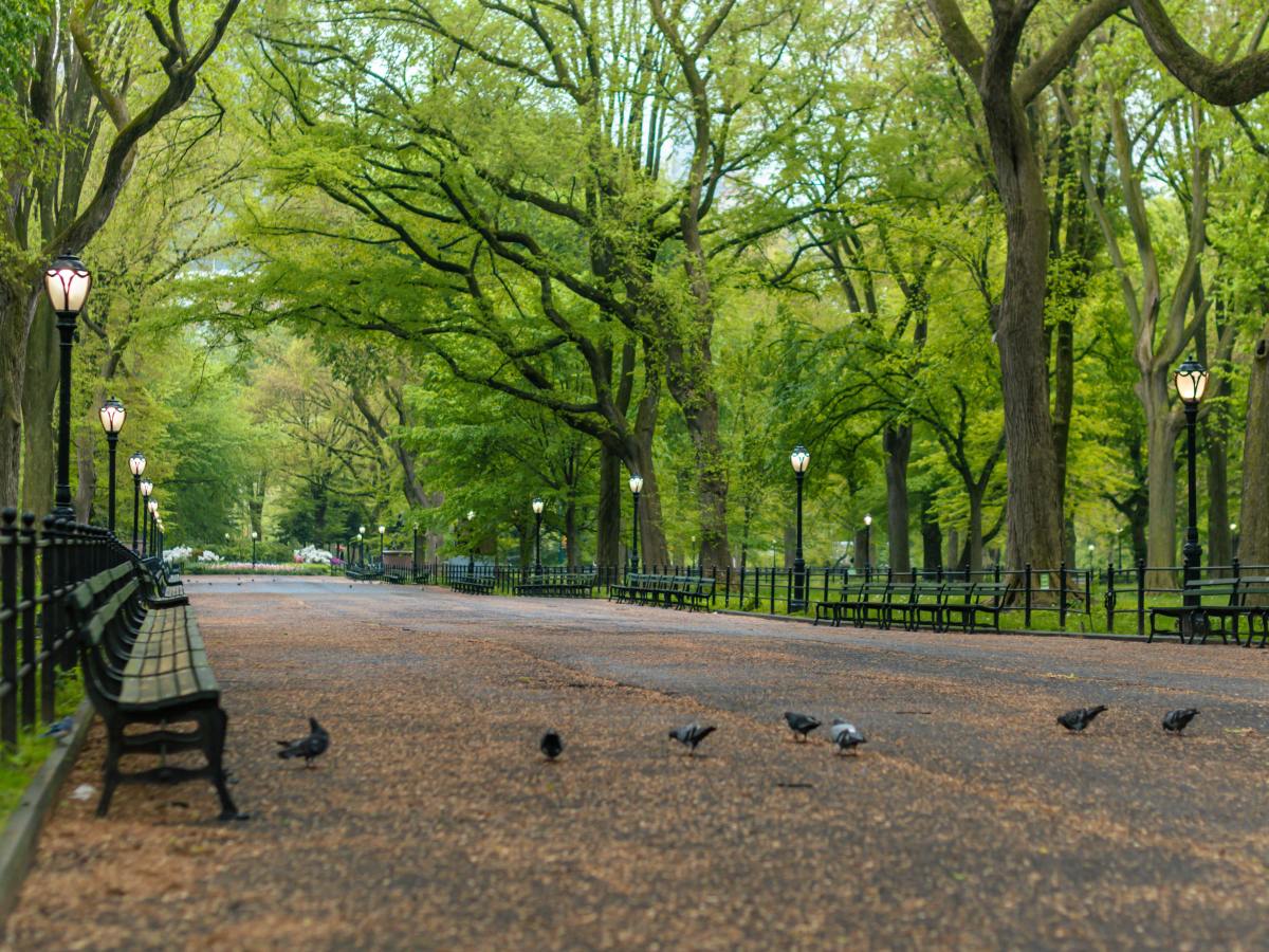 A Green Lung that Allowed Me to Decompress (Guest Blog: Emma&nbsp;Lee)